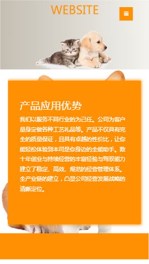 565-宠物用品-橙